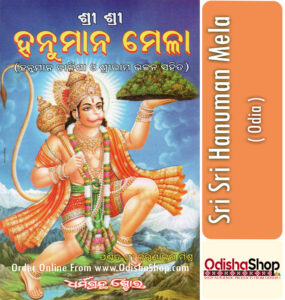 Read more about the article How to Perform Sri Sri Hanuman Mela Puja at Home