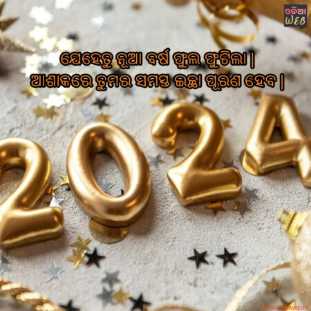 You are currently viewing Best New Year Sms In odia Language